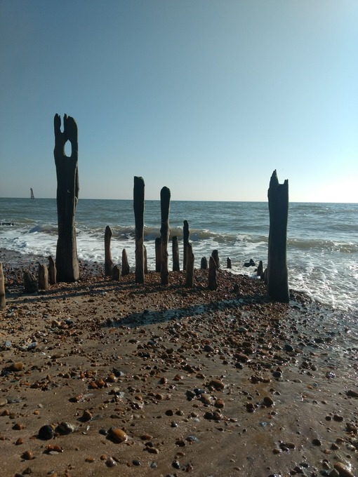 an image of eroded wooden structures at the coast